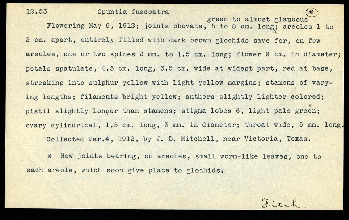Biodiversity Heritage Library tweet media