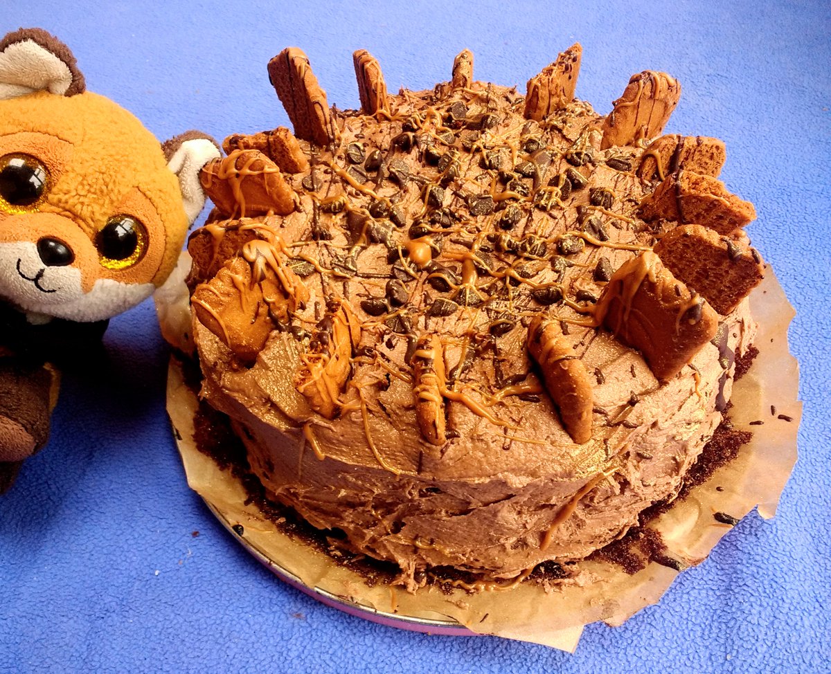 BasTheFox's tweet photo. I've created a monster! A huge #vegan chocolate and biscoff cake 🍰 
#BakingWithBas https://t.co/8F5bj5uoKF