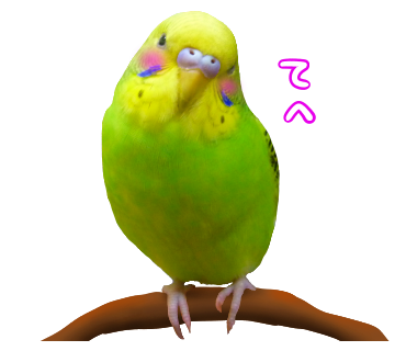 Wakausuke tweet picture