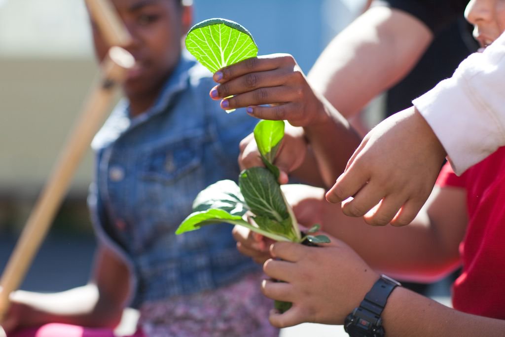 Education Outside 🎓🌱 tweet media