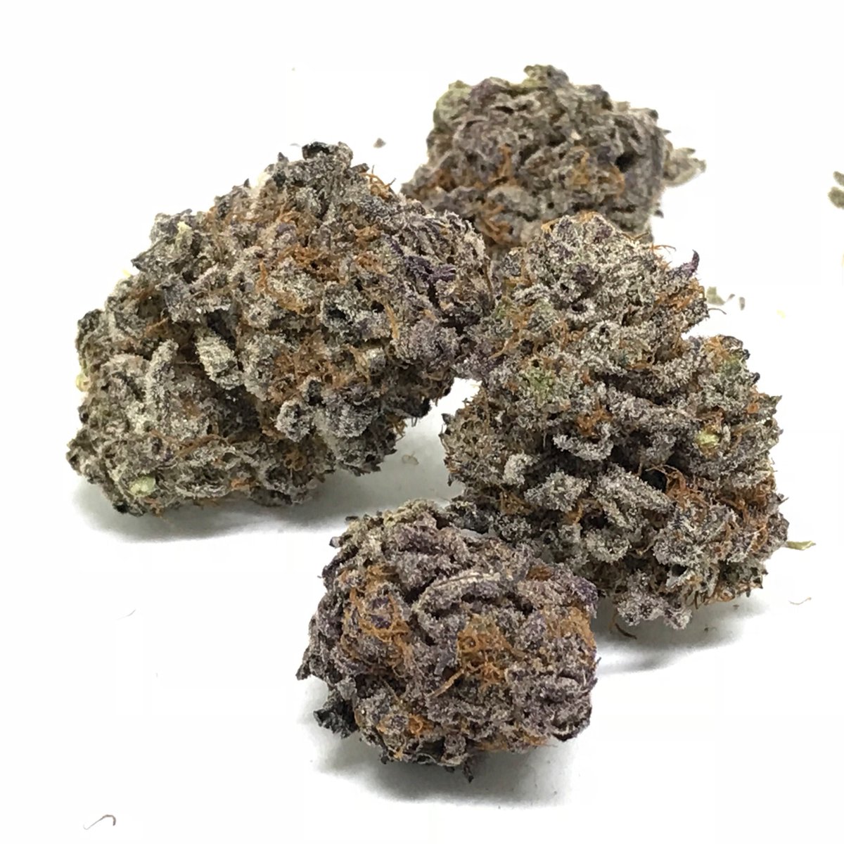 gratitude_green's tweet photo. #FlashFriday!⚡
Looking for cheap deals on fire flower?
📱 Text GRATITUDE to (503) 676-3901 to join and receive exclusive deals like discounts on pre-rolls, cheap ounces, and more!
https://t.co/H06B0rlq3E
#portlandmarijuandelivery #madeinportland
#pdxweed #pdx #portland #pnw https://t.co/gVkGQFq3sY