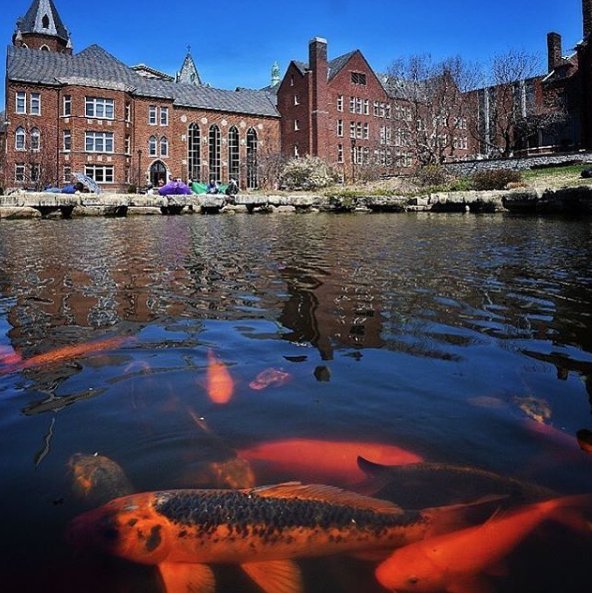 This #SLU beauty captured by 📸 <a href="/chellepeltier/">Michelle Peltier</a> 💕✨#FridayFeeling