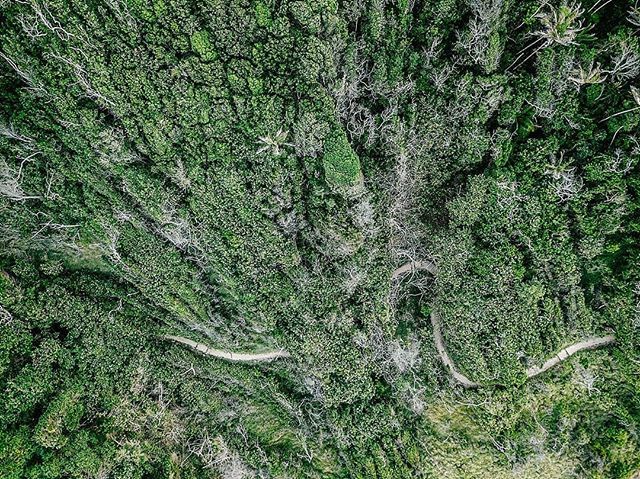 CampaignKitHQ's tweet photo. In Love with the Green Earth! $btc $eth $zcl $blz $man $neo $icx $rpx $ada $nano $lun $etc $trx $dgd $ven $ltc $ltc $xrp $xlm
#crypto #cryptocurrency #Giveaway #blockchain https://t.co/LTuLN63Bla https://t.co/rSSNY6nPC1