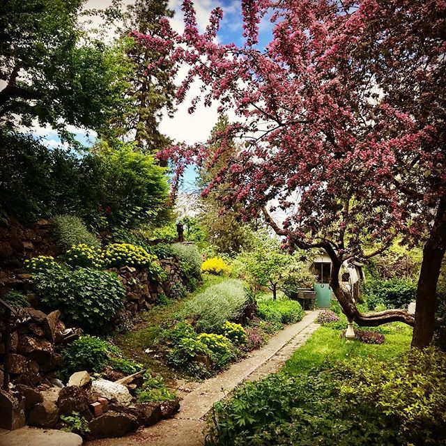mariahmckay's tweet photo. A waking dream. #spring #garden #spokaneisgreat #lovespokane #haystackheights #haystackhotel #spokane #springinspokane #100daysofbeauty Day 13 https://t.co/SCYnRTySHS https://t.co/h8WiLCEdR9