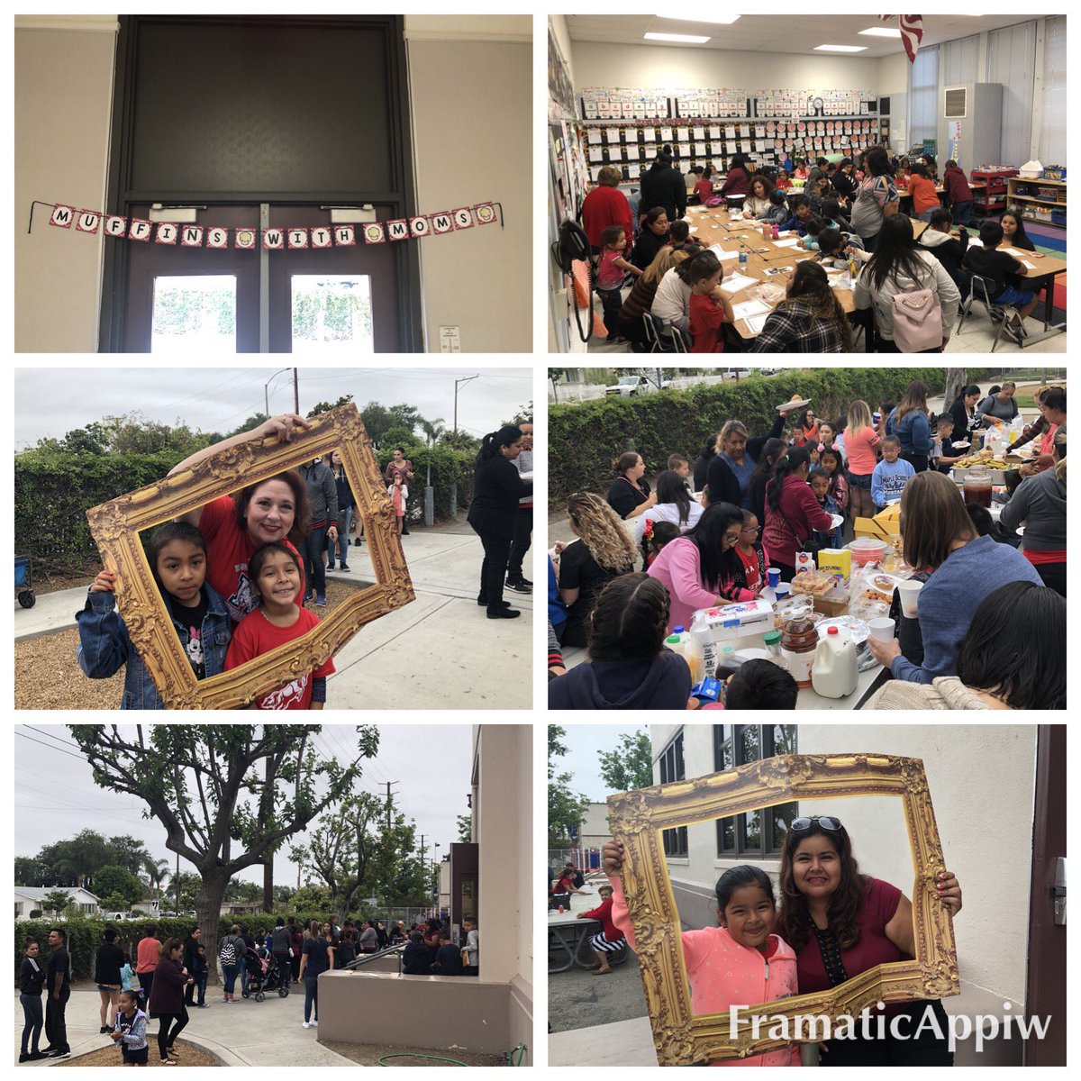 Shelley Behrns tweet media