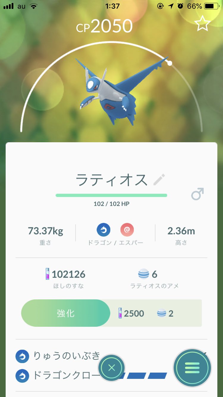 りゅうのいぶき Twitter Search Twitter