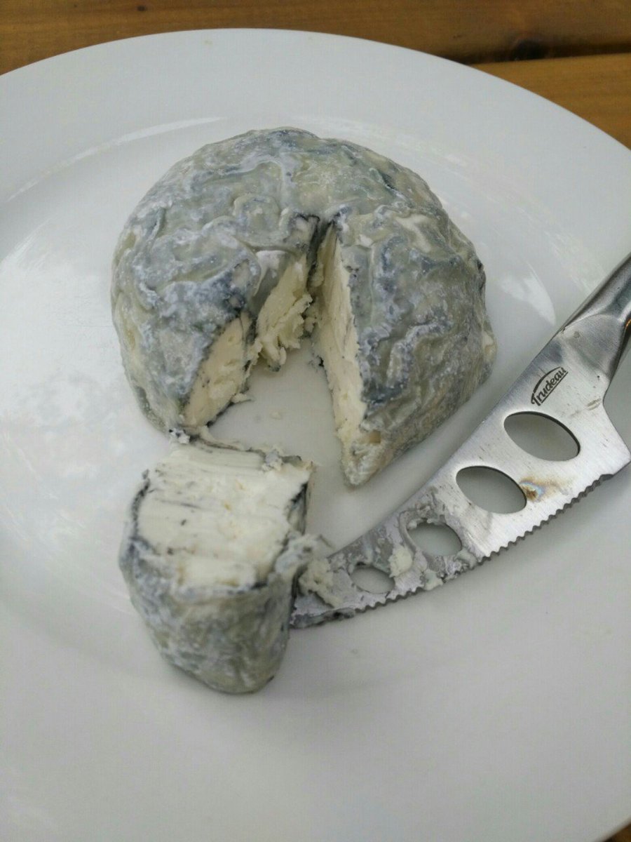 Tonight's snack. I aged this baby for a week in my basement ("cheese cave"). Greystone blue by <a href="/RiversEdgeGoats/">River'sEdgeGoatDairy</a> at #KitchenerMarket