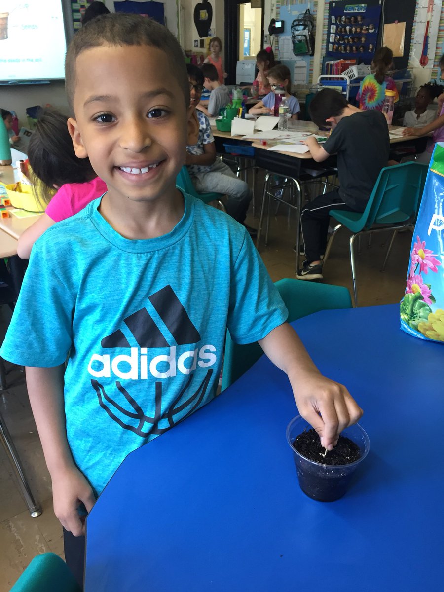 JillianFormosa's tweet photo. 1-F had a blast planting pumpkin seeds! We are excited to watch each stage of the Life Cycle of a Plant! https://t.co/wslpVIdYNU