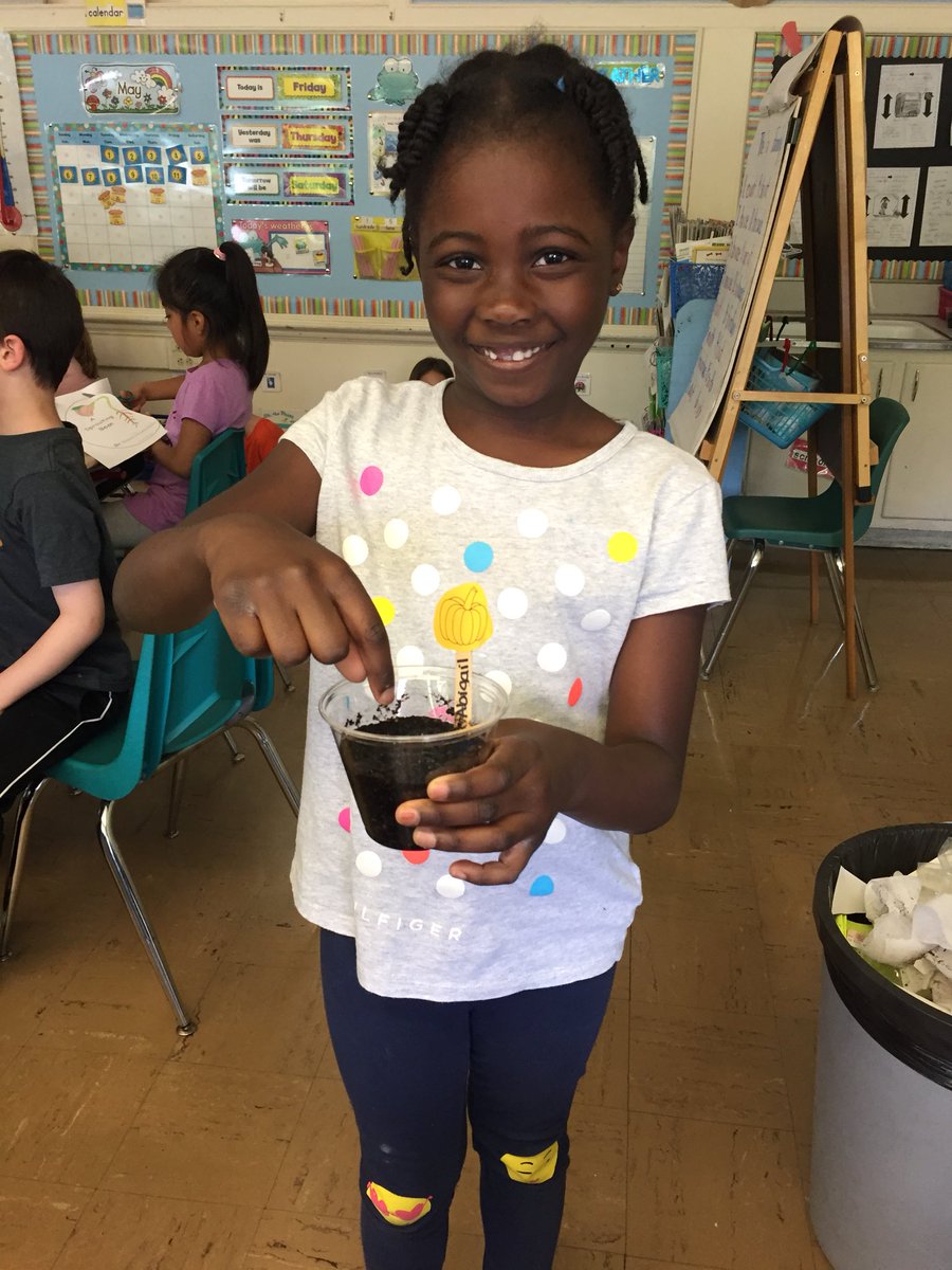 JillianFormosa's tweet photo. 1-F had a blast planting pumpkin seeds! We are excited to watch each stage of the Life Cycle of a Plant! https://t.co/wslpVIdYNU
