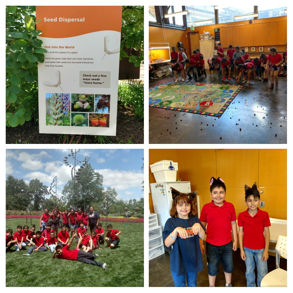 nkpena13's tweet photo. Learning fun at the Dallas Arboretum @Watson_Wildcats https://t.co/Jkwy1rTN4i