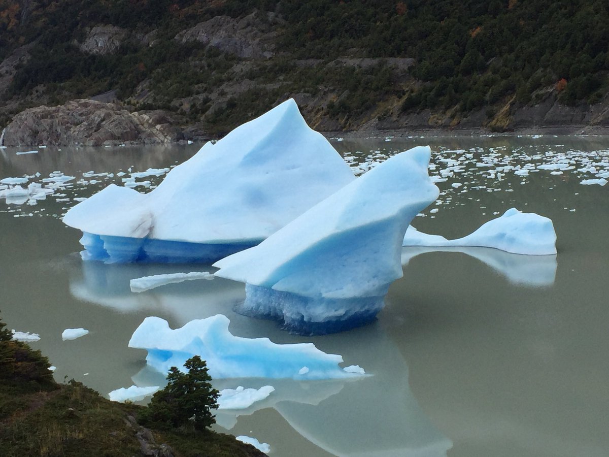 PetiteonBoard's tweet photo. If you are in Patagonia, gear up and do the W Trek. #noregrets #ttot #torresdelpaine #chile #girlswhohike #mochilera https://t.co/w5zauqs0uh