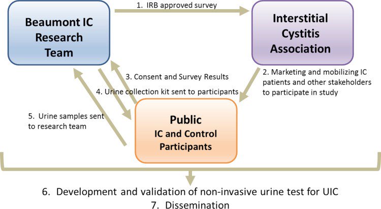 JUrology's tweet photo. unique #crowdsourcing study
develops urine-based test
to quantify risk of
#interstitialcystitis #bladderpainsyndrome
@IC_Urology #IP4IC
https://t.co/EubRKGalGU https://t.co/7A8PZonUam