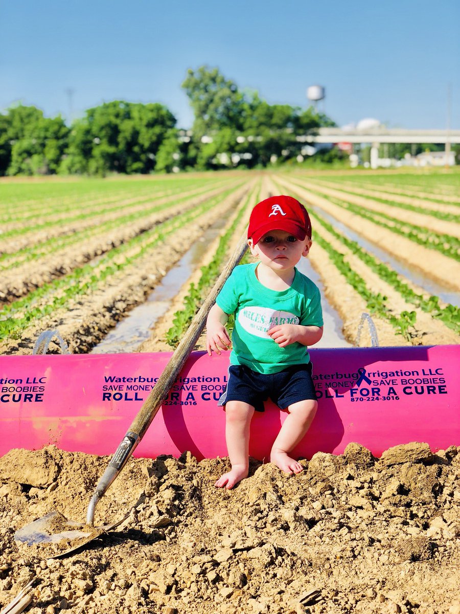 MilesFarms69's tweet photo. We hate cancer but we love saving boobies! #BreastCancerAwareness #pioneer #waterbugirrigation https://t.co/aueNKDrTD5