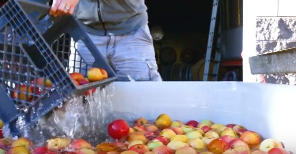 CCCiderFestival's tweet photo. Reason #2 To Attend ---> Atascadero!  - https://t.co/EnocAmRlBx https://t.co/99dd0bMLHL