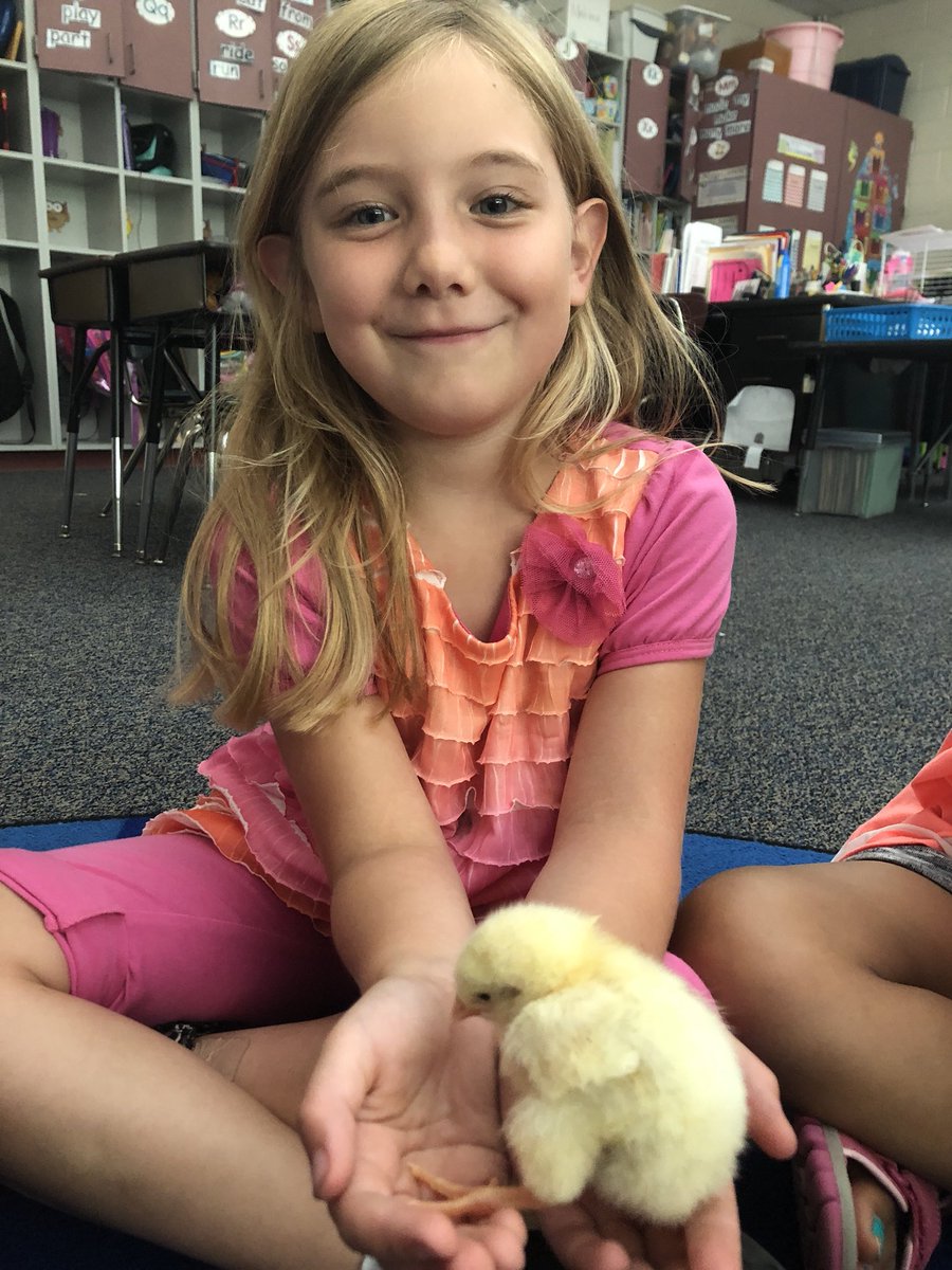 We LOVE our fun Friday’s and are sad to see our chicks go today! <a href="/EastClaytonElem/">East Clayton Elem</a> <a href="/JCPS_NC/">Johnston County Public Schools</a> #ecessoar