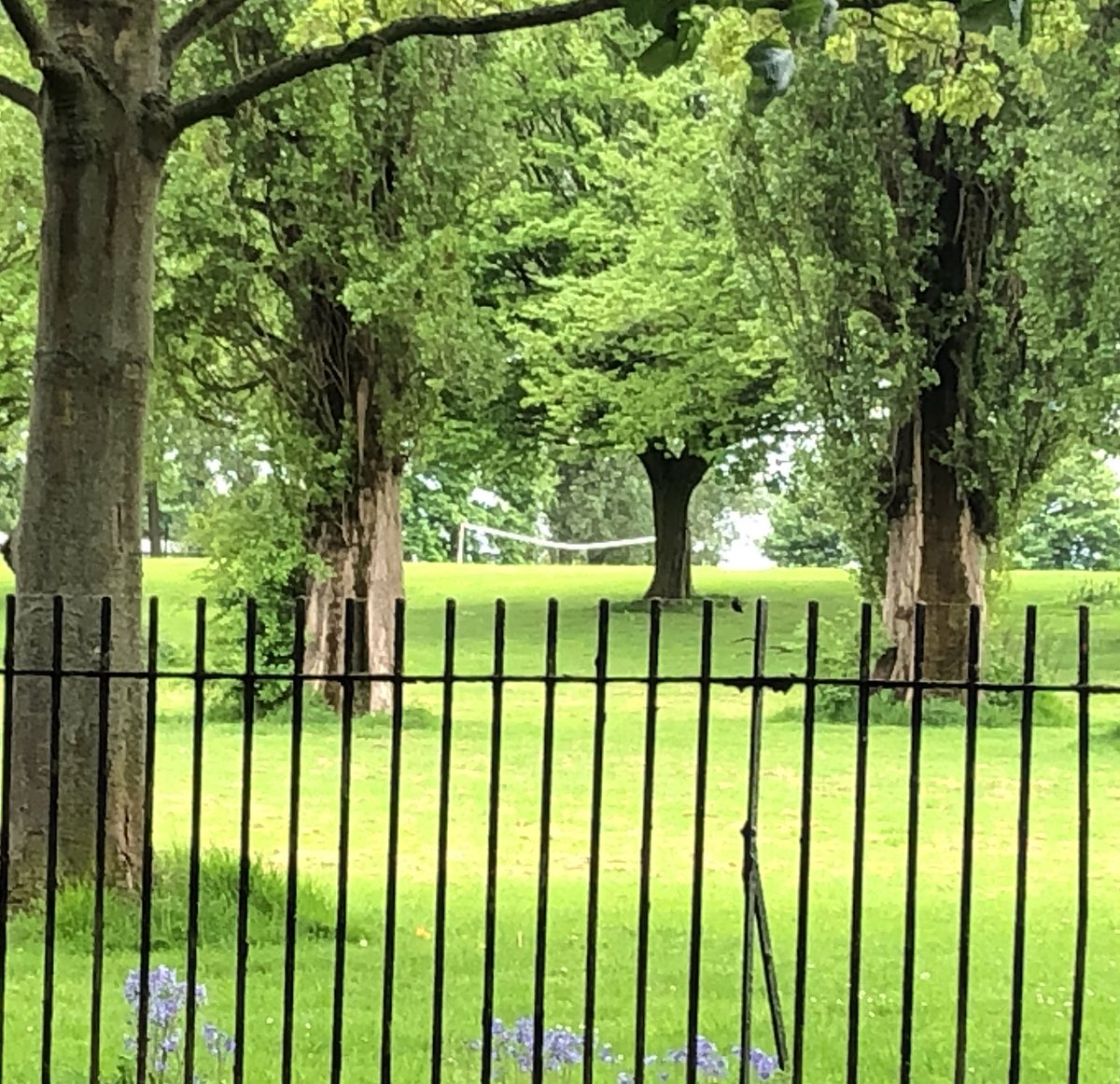 WythyWanderers's tweet photo. @Blackboyfootie You seen the cross bar on Firbank Park? 👀👎🏻 https://t.co/3VFu4WmaXa