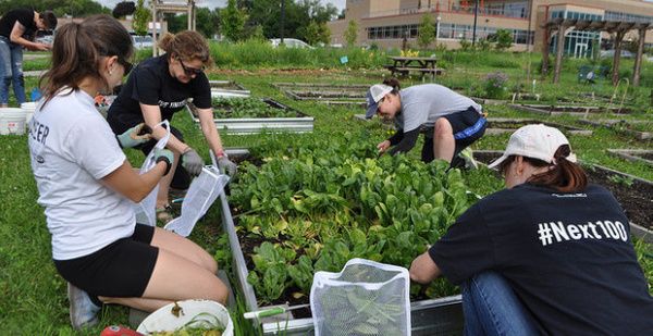 MnHunger's tweet photo. This month our featured partner is @Loaves_FishesMN. Check out this post to find out more about what Loaves and Fishes does, including their farm-to-table approach to providing meals! https://t.co/dohiXC0rCG https://t.co/YuUNDIKt2q