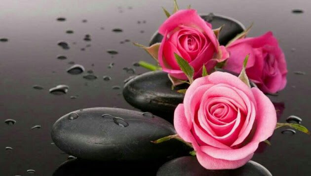 ahmab__221's tweet photo. ما مـرّ بي قـلـقٌ إلا و أنـقـذني
”بـيـتٌ“ يحـوّلُ أحزاني لأفراحِ

سيفتحُ الله باباً كنت تحسبهُ
من شدة اليأس لم يخلق بمفتاح https://t.co/5KrfYAxwTH