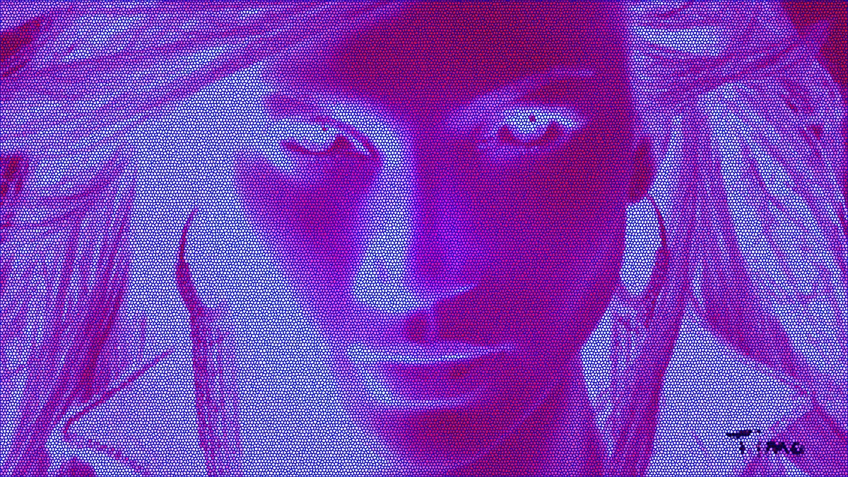 Timothy OGorman tweet media