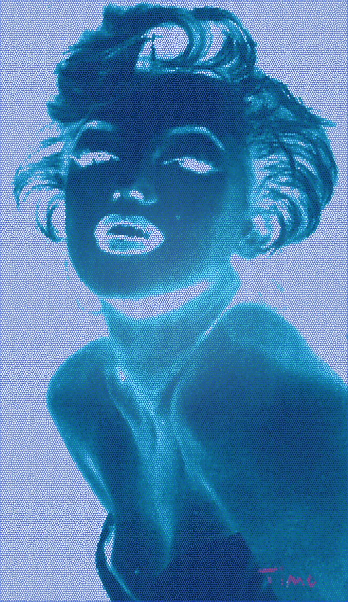 Timothy OGorman tweet media