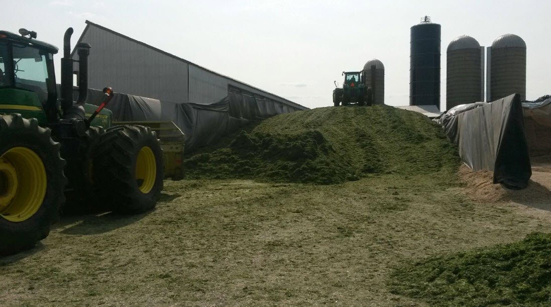 #FertilityFactFriday High producing #alfalfa requires significant nutrient replacement to improve regrowth, stand longevity, &amp; future tonnage. Interestingly, 60-70% of alfalfa fields in WI are deficient in #sulfur. What’s your approach for 2018? Lrn more bit.ly/2rC0Gzn