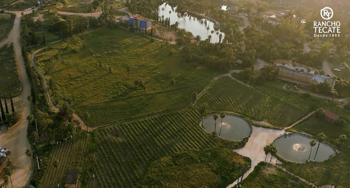 Invierte en tus metas 😉con Rancho Tecate ¡Conócenos! 🍇🤠
Firma ✍️ tu terreno con $395 USD. 🏡 ranchotecate.mx/encinos/