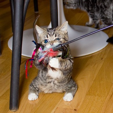 IAMLILBUB tweet picture