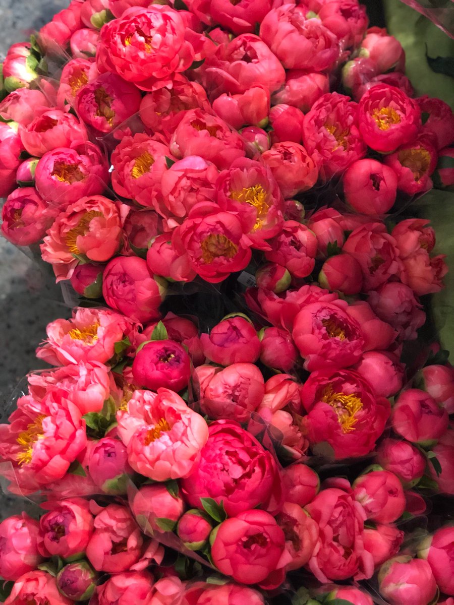Peony season. <a href="/WholeFoods/">Whole Foods Market</a>