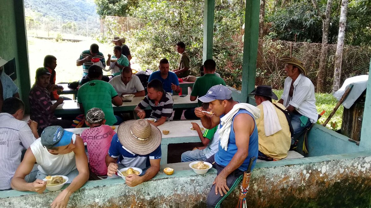 JohanAlcalde's tweet photo. Hoy acompañamos a la comunidad de la vereda El Cocuyo del municipio de Cocorná donde sus pobladores manifestaron sus inquietudes y necesidades. #CocornáFlorece del escritorio al territorio  @AlcaldiaCocorna https://t.co/qRQjolcEzG