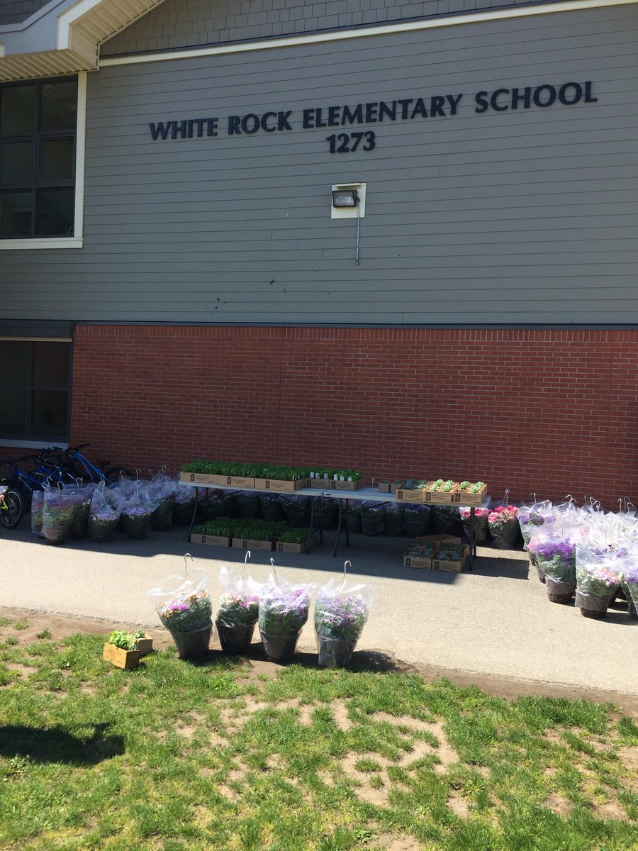 WhiteRockLearner tweet media