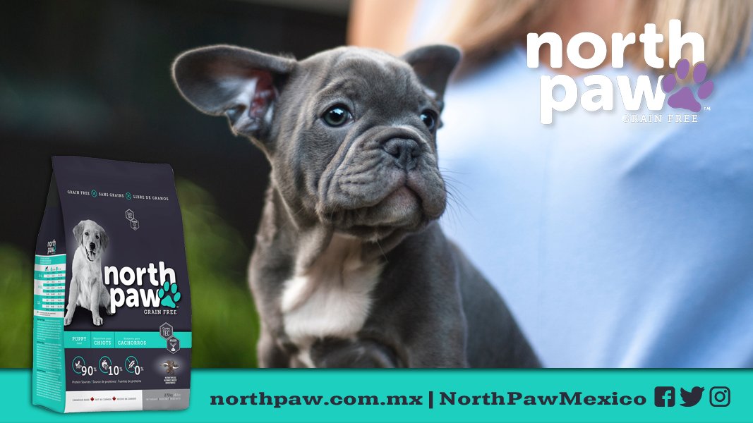 NorthPawMexico's tweet photo. Una nutrición sólida desde el inicio asegura una estupenda calidad de vida. #NorthPaw #LibreDeGranos https://t.co/xLSypNKysB https://t.co/UiMANYjBtA