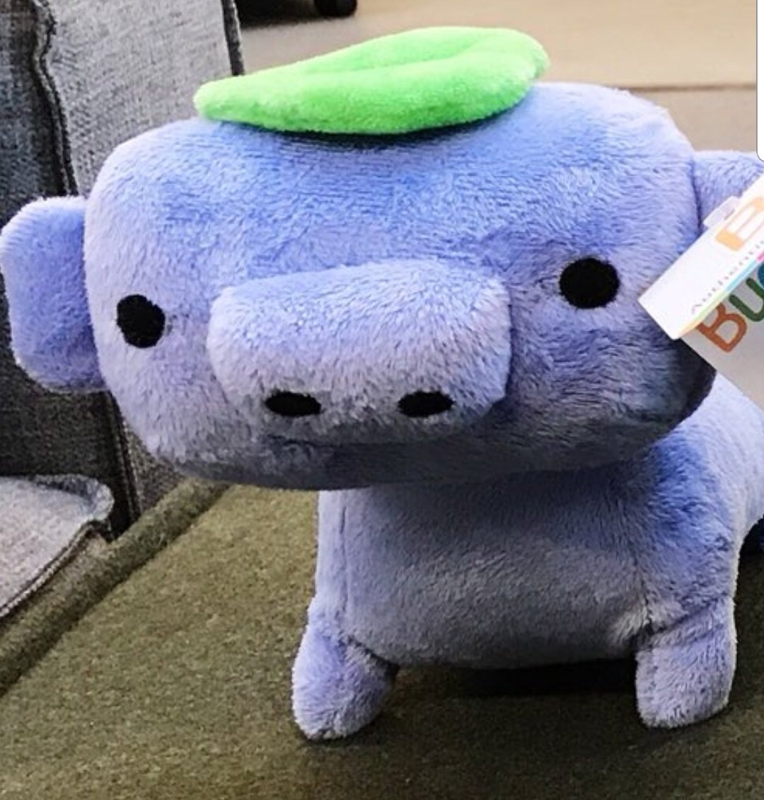 SurvivalKitt on X: @discordapp bröther may i have some discörd  t.cohEYOh5c559  X