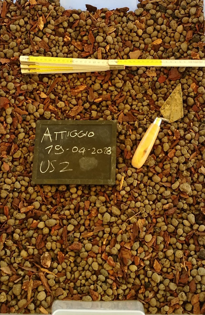 #Attidium che passione...a tutte le etá ❤ #fabrianomusei #archeomarche