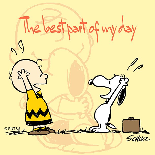 Snoopy's tweet photo. Coming home to my dog. https://t.co/MkFj7W6INh