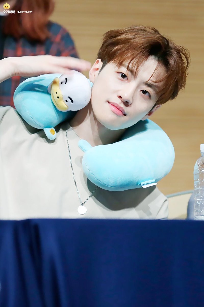 feeldogpictures's tweet photo. 180506 © Duck0226 https://t.co/mcaBoT4jt5