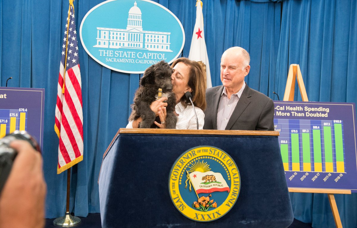 ColusaBrown's tweet image. 🚨EXTRA! EXTRA! #DeputyFirstDog Cali met the puparazzi at her first news conference today! It was puppy love at first sight #MayRevise #FirstDogs #ProudBigSister 📸💅🐶🗞️