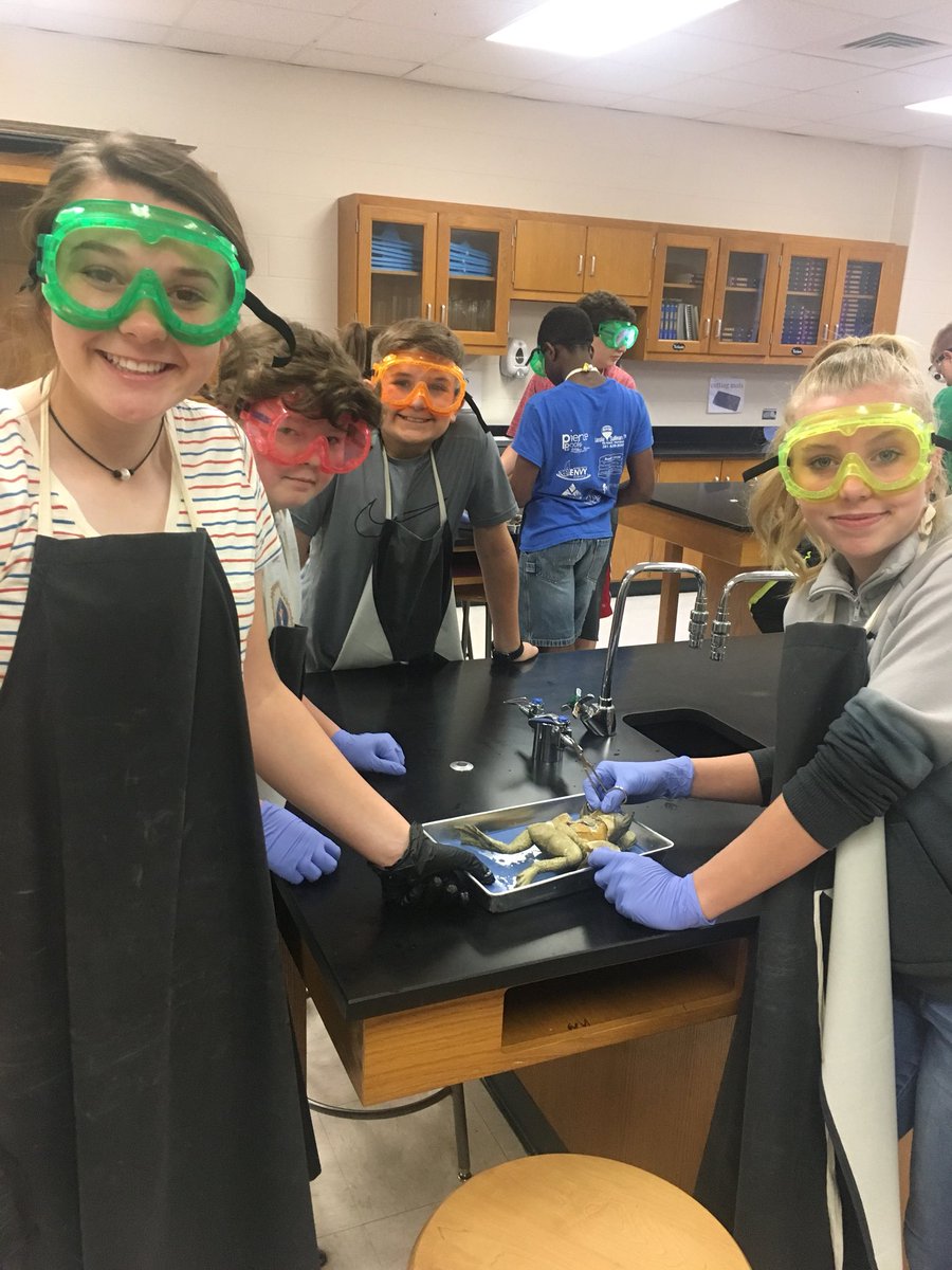 CoachParsonsT's tweet image. Frog Dissection Day! #ThirdPeriod