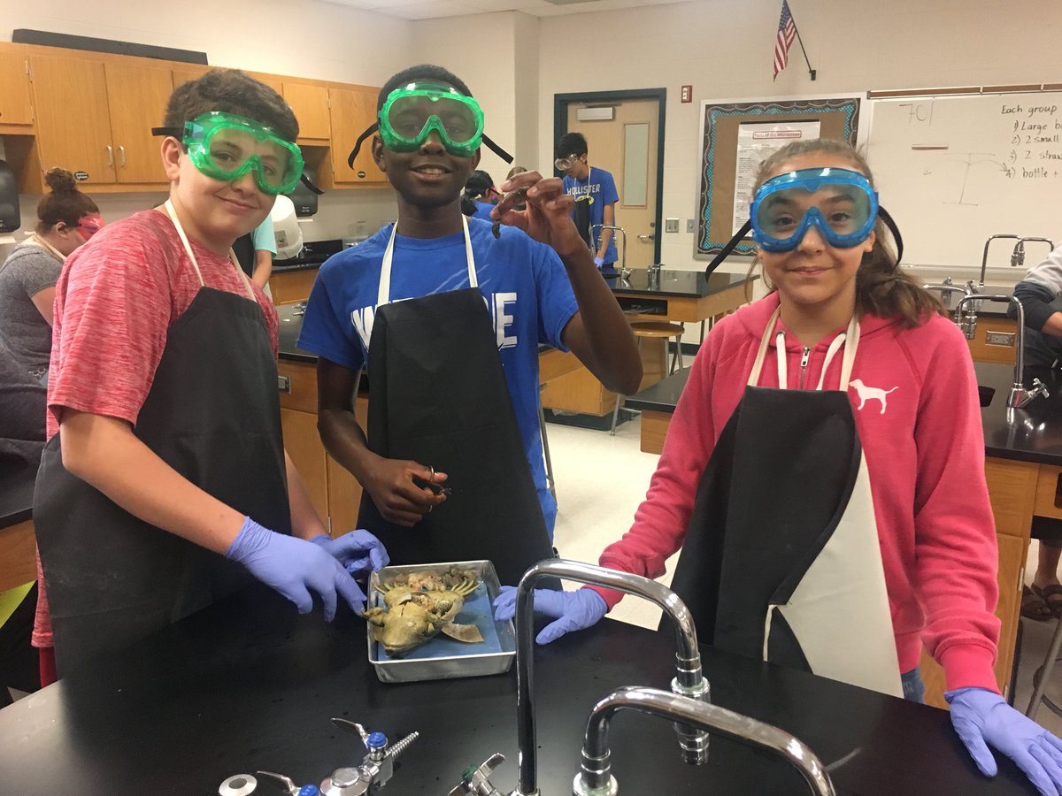 CoachParsonsT's tweet image. Frog Dissection Day! #ThirdPeriod