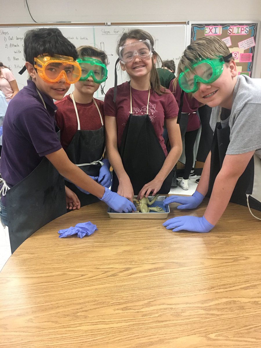 CoachParsonsT's tweet image. Frog Dissection Day! #ThirdPeriod