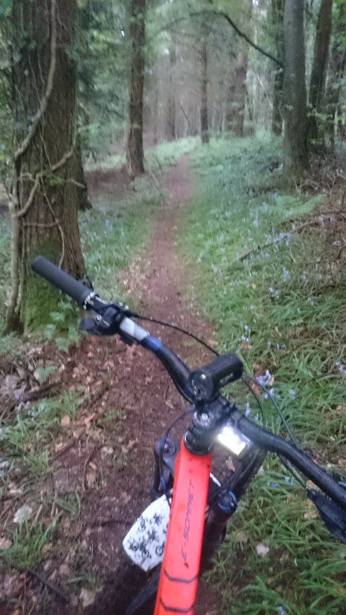 thecarbonmonkey's tweet photo. New bike day led to three rides in 24 hours. Bring it on! I am STOKED to be back on the bike 😁 https://t.co/JyGrD76J4s