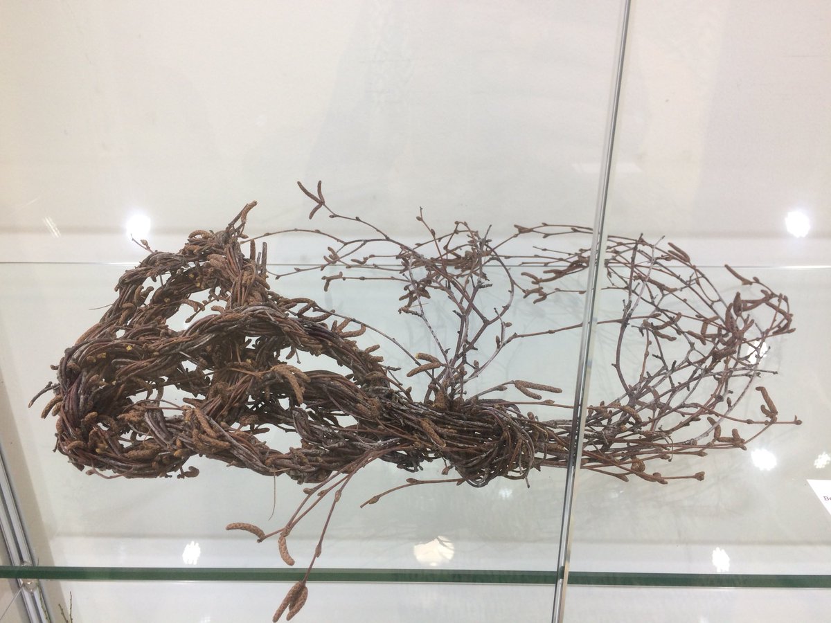 CircusArtspace's tweet photo. One week left to see the art degree show at @ic_uhi featuring new work from four of our Lonely Arts Club members - Lar, Chris, Jack & Lisa.
#CreativeInverness #VisualArt #LonelyArtsInverness https://t.co/9cjjFfcfK6