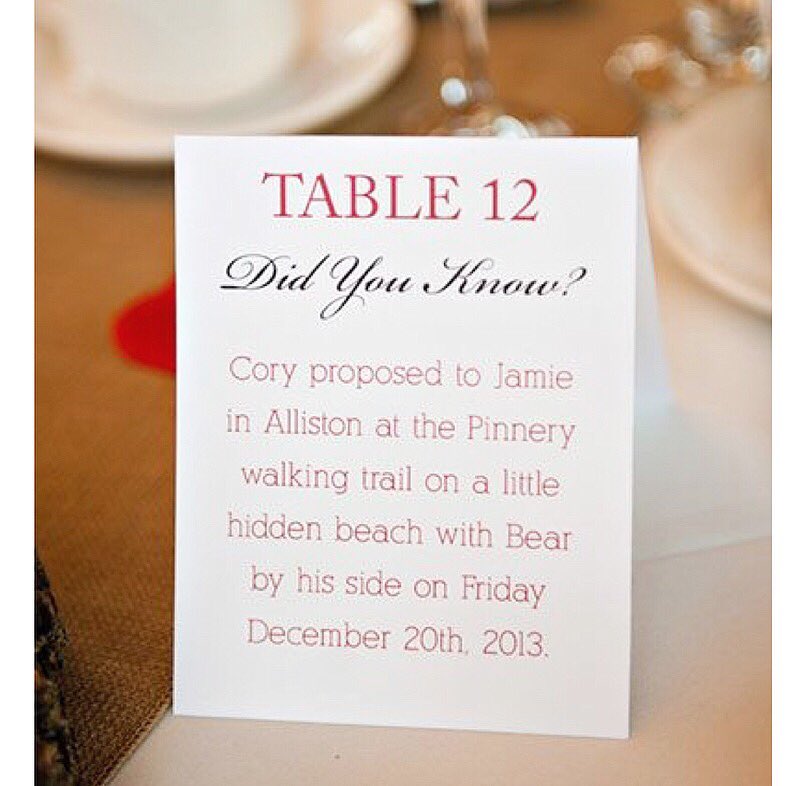 fairytalebride2's tweet photo. How cute are these wedding table number ideas! 🥂👰🏻💍♥️☺️#weddingday #weddinginspo #weddinginspiration #tablenumbers #weddingtablenumbers #tablenumberideas #dog #oldphoto #weddings #bridetobe #brideandgroom #brideandbride #weddingbreakfast #coggeshallweddingshop https://t.co/dmqEOiqEMZ