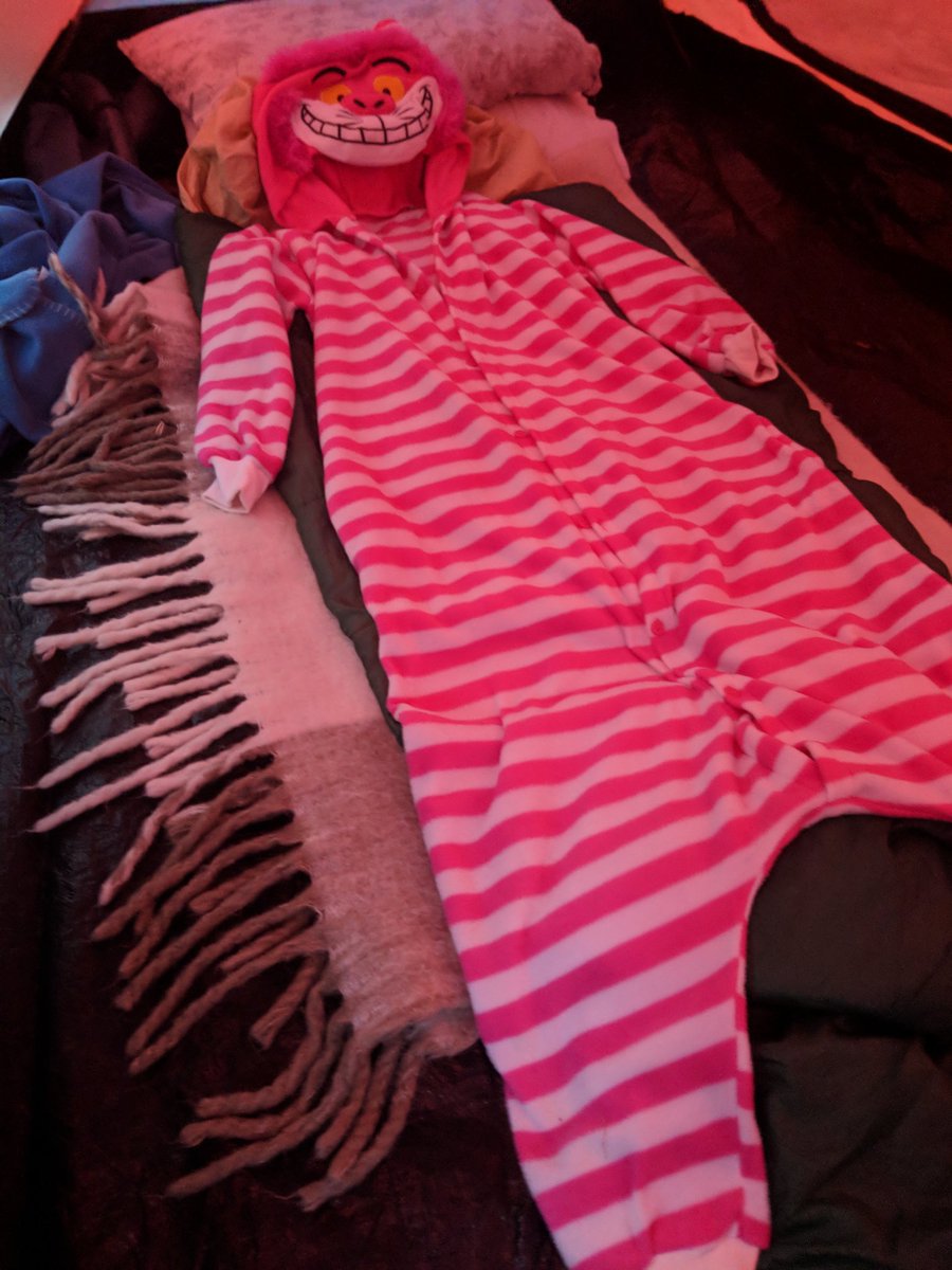 standrewsptfa1's tweet photo. Camping update No2: This tent isn't big enough for the both of us!!! @LeasStAndrews #guesswho #vipcamping #executivesuite #pj's https://t.co/nNvOecFYxB