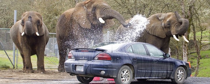 harv's car wash coupon