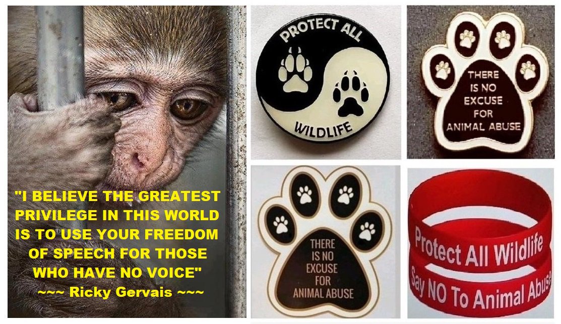 Protect_Wldlife's tweet photo. "I believe the GREATEST privilege in this world is to use your freedom of speech for those who have no voice" @RickyGervais.

Show EVERYONE that YOU speak up for #wildlife with a PROTECT ALL WILDLIFE Badge, Car Sticker, Wristband or Conservation Pack from https://t.co/eonprRXSCT https://t.co/ZqoBlnCBGh