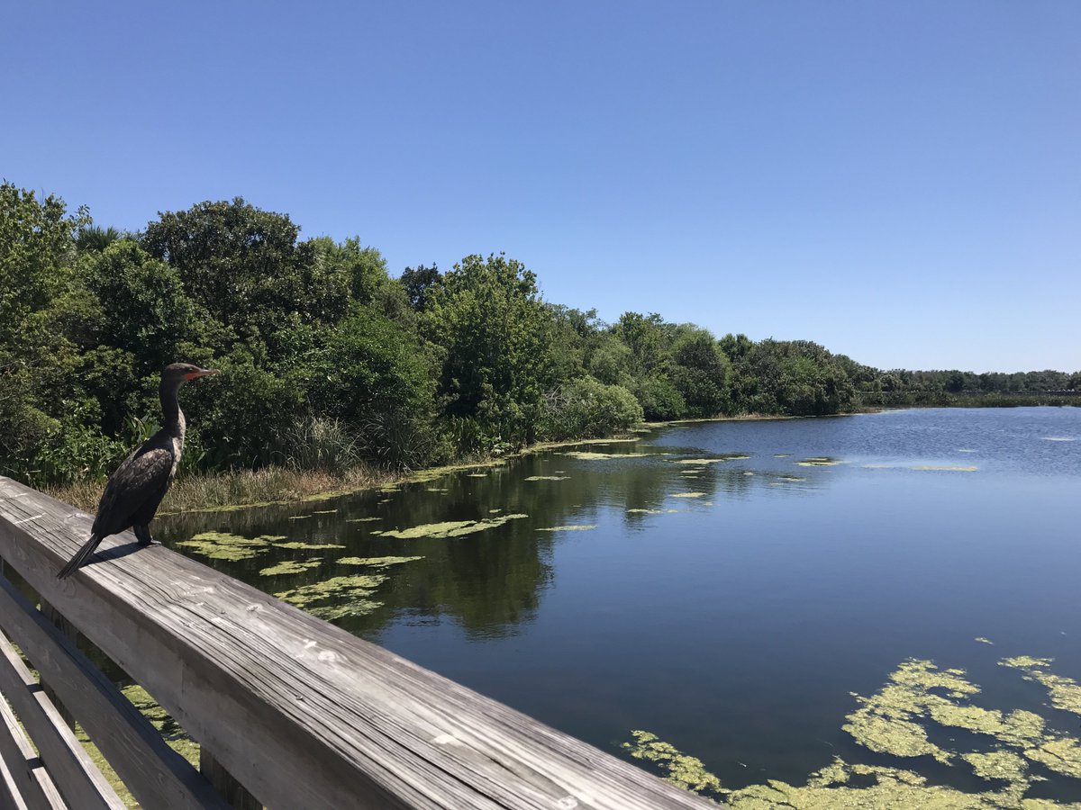 pbcparks's tweet photo. Check out "8 things you didn't know about the #PalmBeaches, Florida" including #SunsetCoveAmphitheater, #CoralCovePark &amp; #GreenCayNatureCenter. See where they ranked: https://t.co/w4dMBQpg3n - with Matador Network &amp; Discover the Palm Beaches #pbcparks https://t.co/TprRCJSUGw