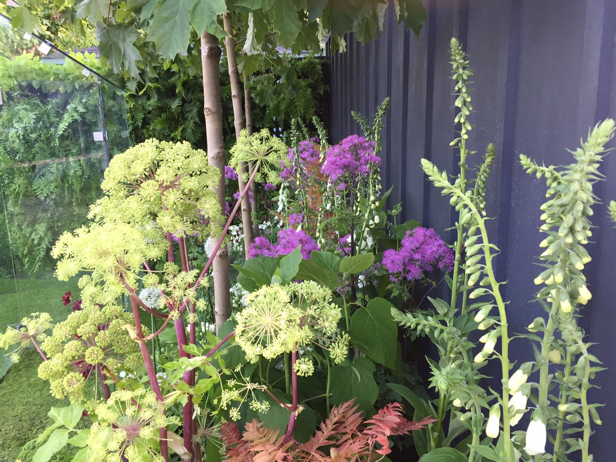 Alladiosims tweet media