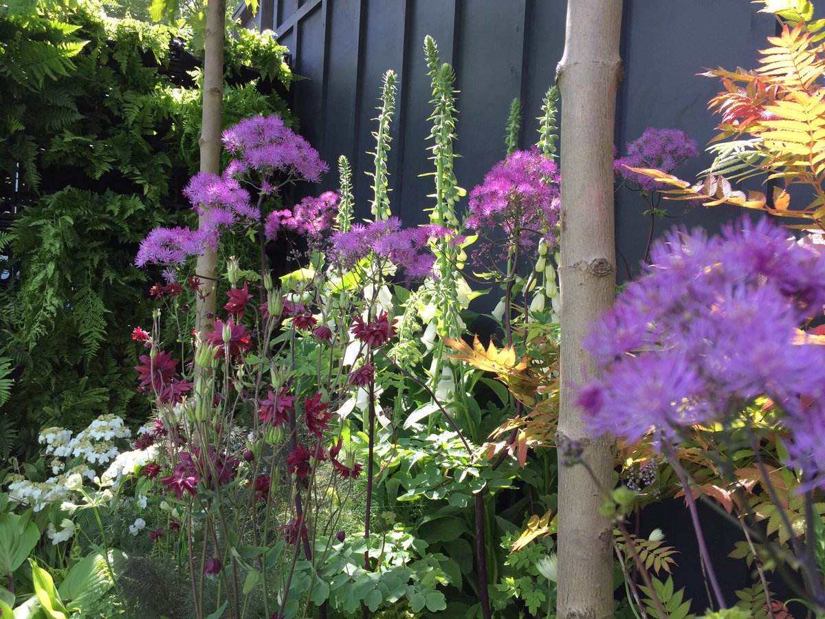 Alladiosims tweet media