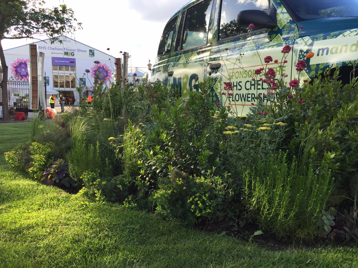 Alladiosims tweet media