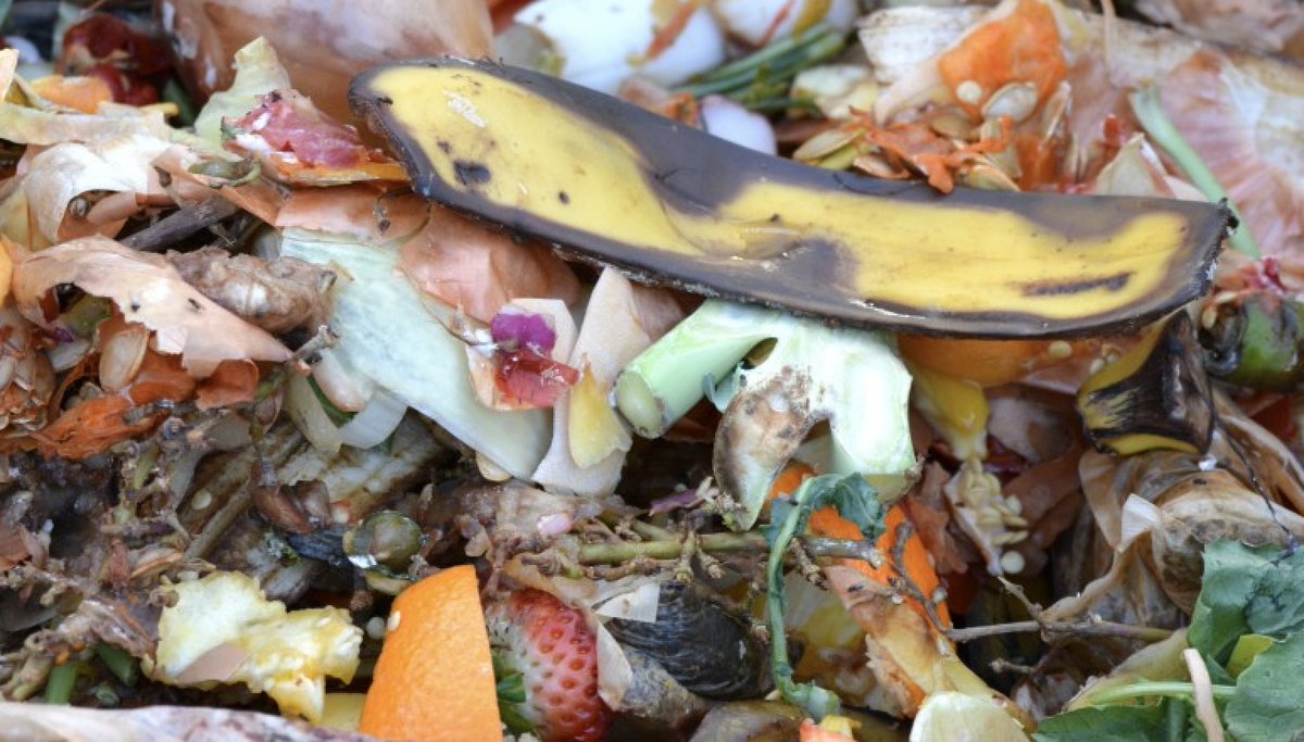 kcrw's tweet photo. How do you compost in a sprawled out city like LA? Michael Martinez, founder of LA Compost, has some tips https://t.co/ZTFF5k64A6 https://t.co/0wMImqGian